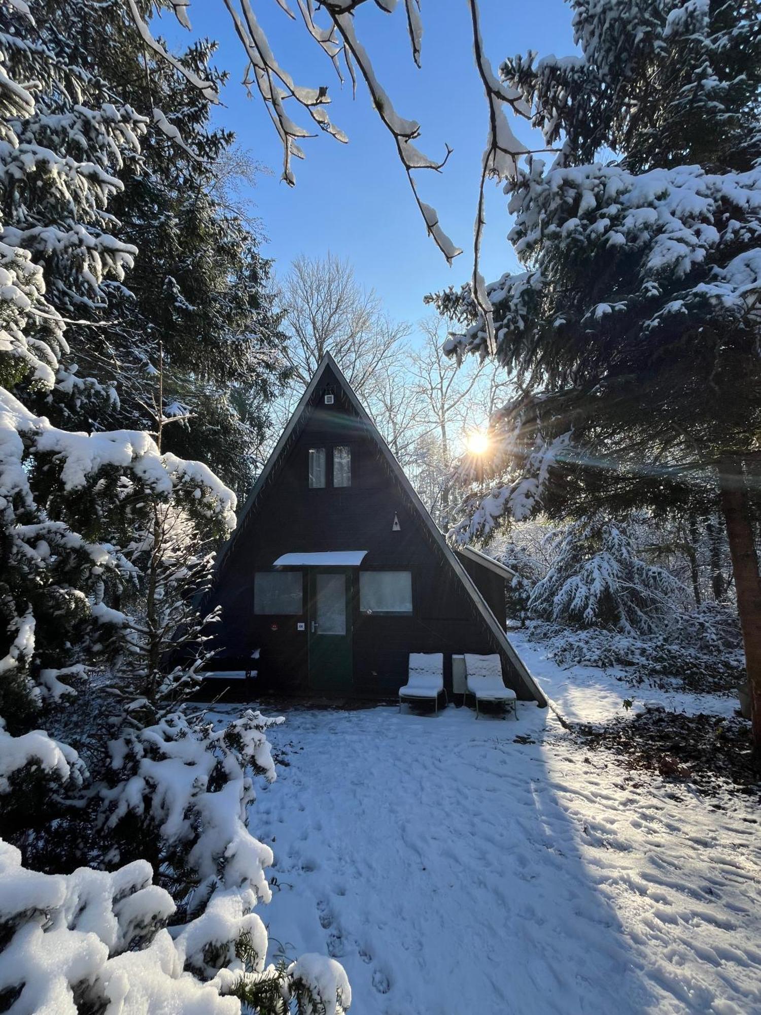 Vakantiewoning Sunclass Durbuy Ardennen Huisnummer 68 外观 照片